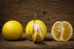 Winter brings Bergamots!