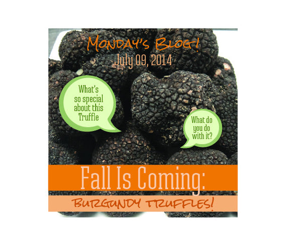 Fall is Coming: Burgundy Truffles