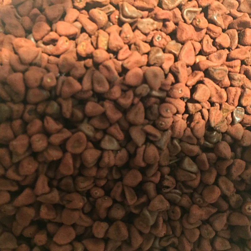 Annatto Seed, Whole