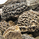 Morels, Dry